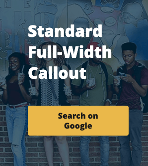 Full-Width Callout
